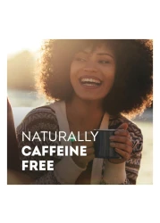 Lipton Herbal Infusion Mint 20 Tea Bags