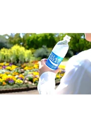 Pocari Sweat Pet Bottle 500ml