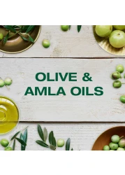 غارنييه إلترا بلندز شامبو بالزيتون الأسطوري، 200 ملل.