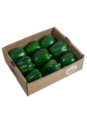 Capsicum Family Pack 1.5kg