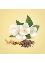 كالفن كلاين عطر بيوتي للنساء - او دو بارفيوم - 100مل