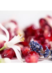 ايف سان لوران عطر الشعر ليبر للنساء - 30مل