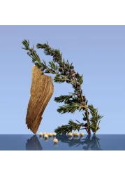 Calvin Klein CK Be For Men - Eau de Toilette