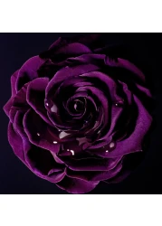 Lancome La Nuit Tresor For Women - Eau de Parfum