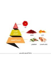 Al Majed Oud Dehn Mukhallat Al-Ma'amoul & Al-Mabsous Perfume Oil - 60 ml