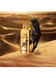 Montale Arabians - Eau de Parfum