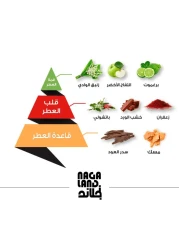 Almajed Oud Naja Land - Eau De Perfum