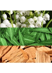 عطر كونتردكشن من كالفن كلاين للنساء - 100 مل - او دي بارفيوم