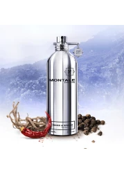 Montale Wood & Spices - Eau de Parfum