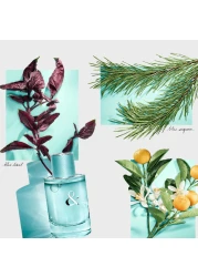 عطر تيفاني آند كو لوف فورهير من تيفاني آند كو للنساء - او دي بارفيوم