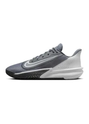 Nike Fn4322-003 Precision Vivi Men's Basketball Shoes - Gray