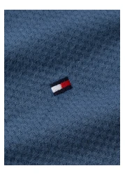 Tommy Hilfiger Male Blue Polos