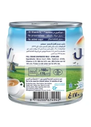 Rainbow Karak Evaporated Milk Original 170g Pack of 12 and Mug