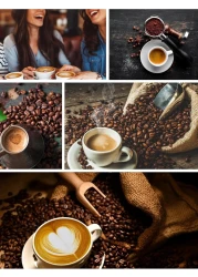 Electric Coffee Bean Roaster Machine, 800W Stainless Steel Coffee Roaster with Adjustable Thermostat and Timer, Extra Coffee Maker Included