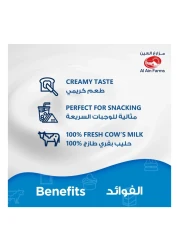 Al Ain Farms Cream Cheese Jar 500g Pack of 2