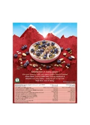 ألبن أصلي موسلي بنكهة سويسرية 550 غرام