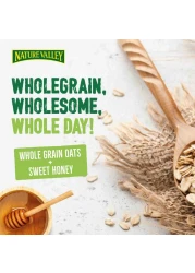 نيتشر فالي ألواح غرانولا مقرمشة بالعسل والشوفان 42 غرام حزمة من 5