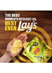Lay's Salt And Vinegar Flavoured Potato Chips 12g Pack of 21