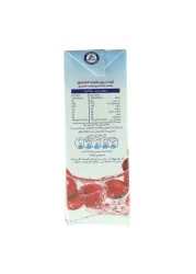 Ocean Spray Cranberry And Raspberry Juice 1L