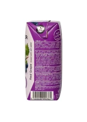 Hollinger Bio Organic Red Grape Juice 200ml Pack of 3