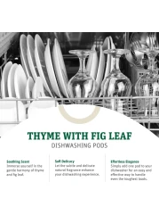 Grab Green Automatic Dishwashing Detergent Pods 24 Count Thyme Fig Leaf Scent Plant and Mineral Based Superior Cleaning Powerful Grease Removal