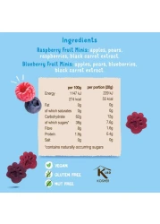 Bear Paws Raspberry And Blueberry Pure Fruit Snacks 20g