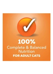 بيورينا فريسكيز مزيج باتي رطب مشوي طعام القطط 156 غرام