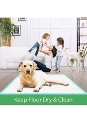 Vsell24 50PC 6 Layer Disposable Quick Absorbent Pet Training Pads Anti Slip Toilet Pee Puppy Pads For Potty Training For Dogs And Cats (Medium)(45X60CM)