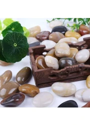 Polished Indian Stone 10 kg (1-2cm) Aquarium Pebbles Natural Gravel Fish Tank Stones