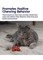 Catstages Catnip Plaque Away Pretzel Dental Cat Chew Toy Catnip Toy Orange