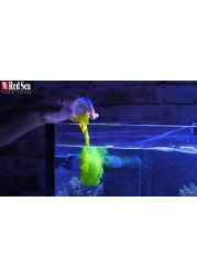 Red Sea Reef Energy Plus 500ml AB All in One Coral Food for Saltwater Aquarium Marine Reef Tanks Food for Soft LPS SPS and NonPhotosynthetic Corals