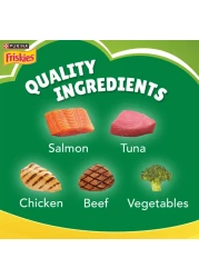 Purina Friskies Indoor Delights Flavours of Salmon, Tuna, Chicken, Beef and Vegetables Adult Dry Cat Food, 1kg