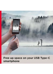 SanDisk Type C OTG SDDDC3 256GB USB 3.1 Flash Drive