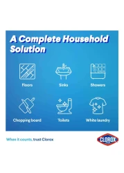 Clorox Liquid Bleach 950ml
