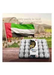 Al Ain Farms Fresh Large White Eggs 30 PCS