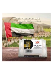 مزارع العين بيض أبيض وسط طازج 6 قطع