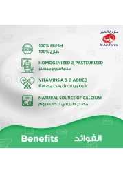 العين زبادي طازج كامل الدسم 2 كغ