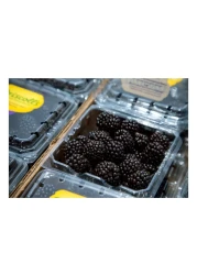Driscoll's Blackberries 170g