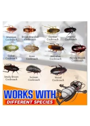 Roach Doctor Buy 3 Get 4 Syringe Gel Bait - Target Ants &amp; Cockroaches Effectively