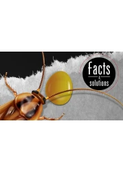 Advion Buy 2 Get 3 Cockroach Gel Bait Indoor &amp; Outdoor Use Major Cockroach Species 30g