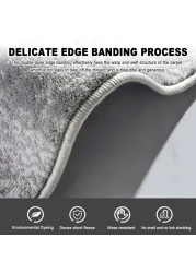 Vital Carpet For Living Room, Bedroom And Dining Room, Soft Fluffy Carpets For Living Room, Bedroom Anti-Slip Rugs For Kids Room, Indoor Home Decorative Carpet 809-2 Size: 160X230cm