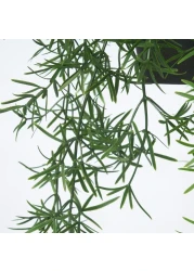 Artificial Potted Plant In/Outdoor Asparagus/Hanging 12 Cm