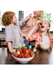 GET FRESH Animal Food Picks for Kids 18pcs Cute Bird Fruit Food Picks Set for Kids Toddlers Lunch Box Decoration Animal Bento Deco Children Toothpicks Reusable Easter Chicken Kids Toothpicks