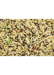 "Egardenkart Premium Canary Bird Food - Nutrient-rich Blend for Vibrant Feathers and Health" (1kg)