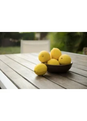 Montana Colors MTN PRO Synthetic Varnish - Matt - Spray Paint 400ml