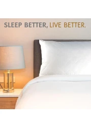 Hotel Linen Klub Pack of 2 Quilted Pillow Queen (50 x75cm) - Outer Cover: 90GSM Microfiber Supersoft Fabric, Filling: 650grams Soft Fiber, Diamond Quilt Pattern