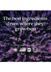 New Chapter Postnatal Vitamins Lactation Supplement Complete Multivitamin with Fermented Vitamin D3 B Vitamins Made with Organic Vegetables Herbs NonGMO Ingredients 96 Count