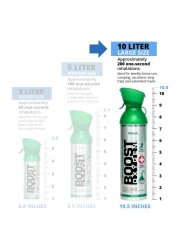 Boost OxygenCanned Oxygen for Breathing for Home Use Exercise or Altitude Sickness Includes Sealed Cap Mask 10Liter Canister Natural 4 Pack