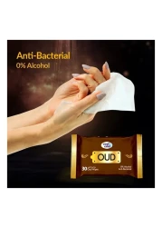 Cool &amp; Cool Anti-Bacterial Skin White 30 Wipes