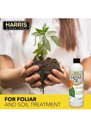 HARRIS Neem Oil 100 Cold Pressed and Unrefined Concentrate for Plant Spray High Azadirachtin Content 12 Ounce for Aphids Whiteflies Mealy Bugs and More